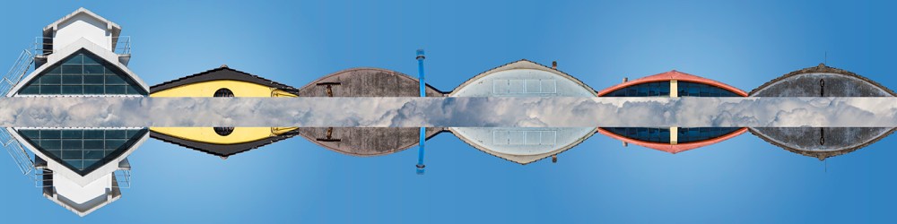 Il profilo della citta - particolare