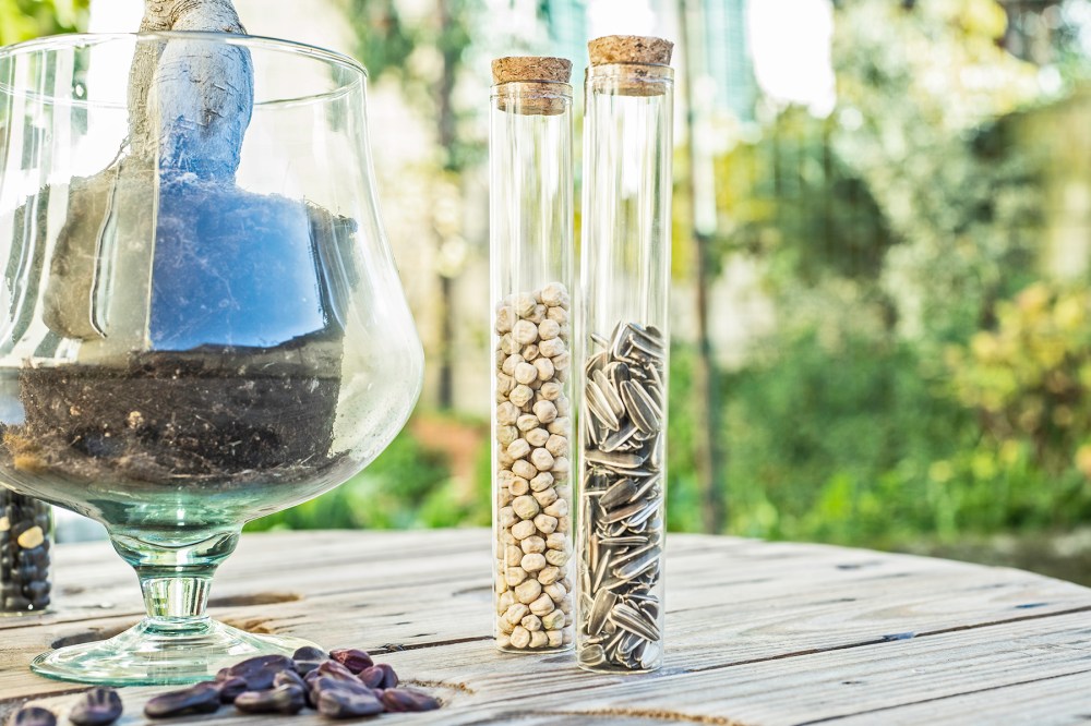 giardini di prossimità di cut | circuito urbano temporaneo e riciclidea, prato, vincitore creative living lab mibac 2018, foto di simone ridi 10