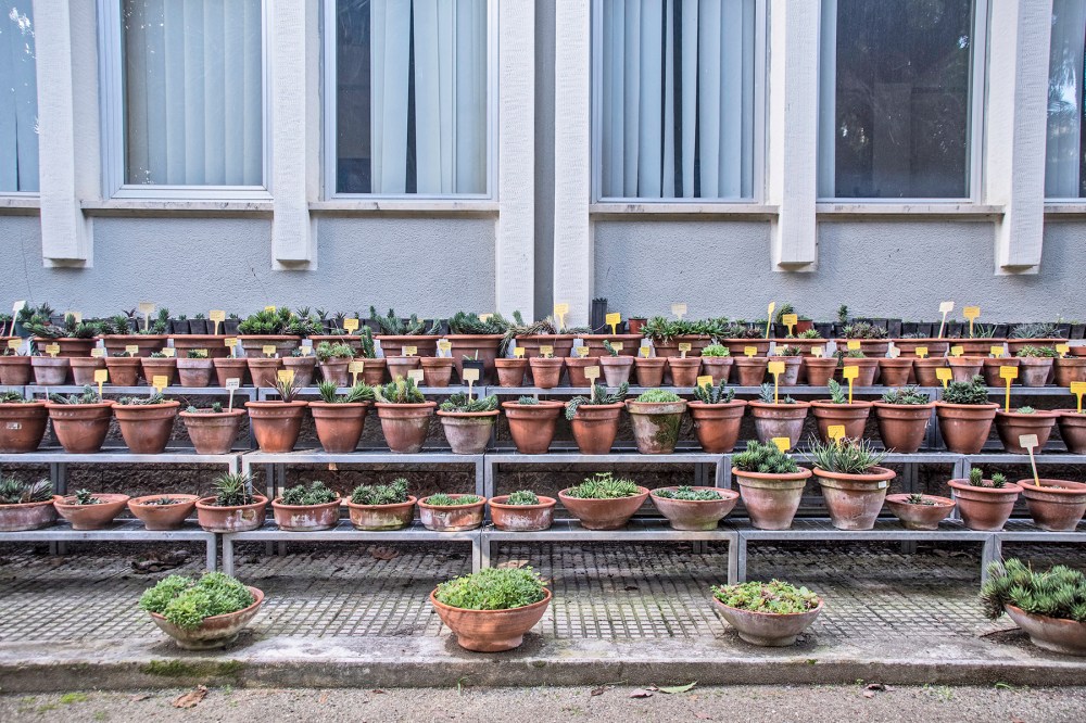 giardini di prossimità di cut | circuito urbano temporaneo e riciclidea, prato, vincitore creative living lab mibac 2018, foto di simone ridi 2