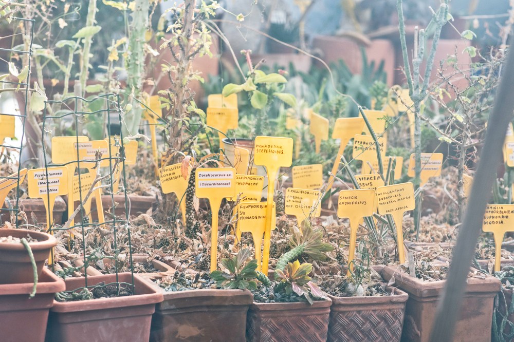 giardini di prossimità di cut | circuito urbano temporaneo e riciclidea, prato, vincitore creative living lab mibac 2018, foto di simone ridi 7