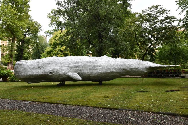 https___media.petsblog.it_d_dca_capodoglio-giovanni